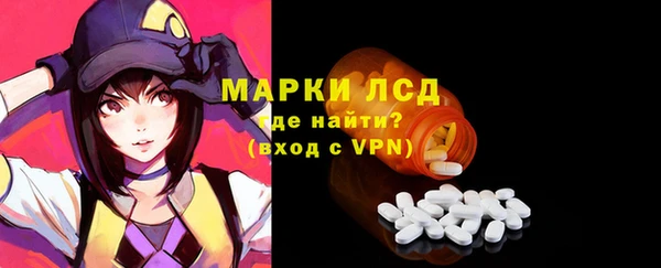 шишки Армянск