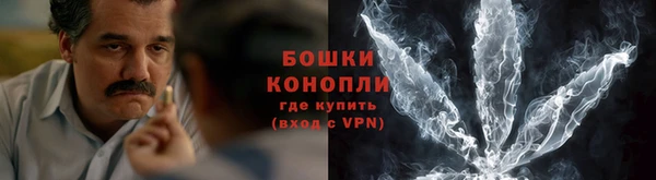 шишки Армянск