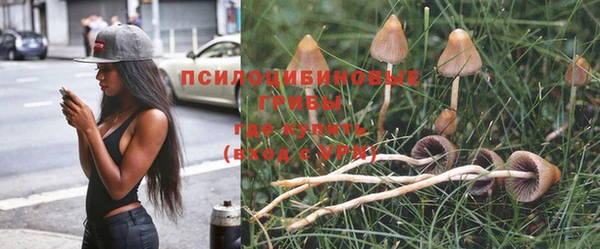 spice Аркадак
